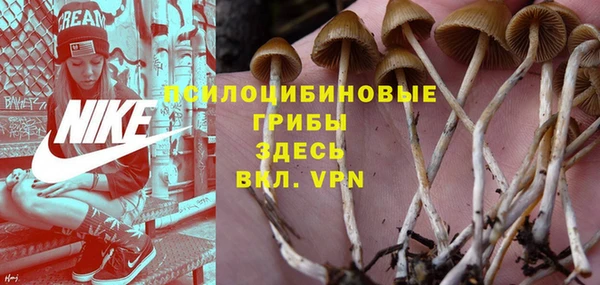 мескалин Аркадак